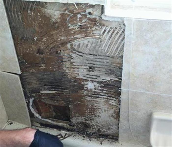 Mold found behind tiles in bathroom.
