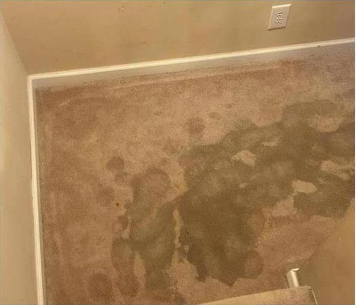 Wet carpet, stains on carpet